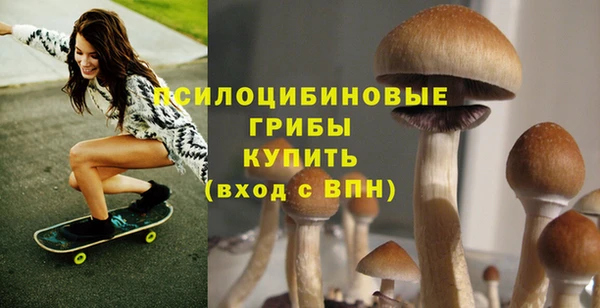 кокаин Алексеевка