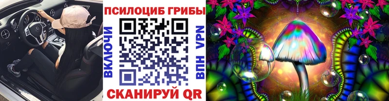 магазин    Сасово  Псилоцибиновые грибы Psilocybe 